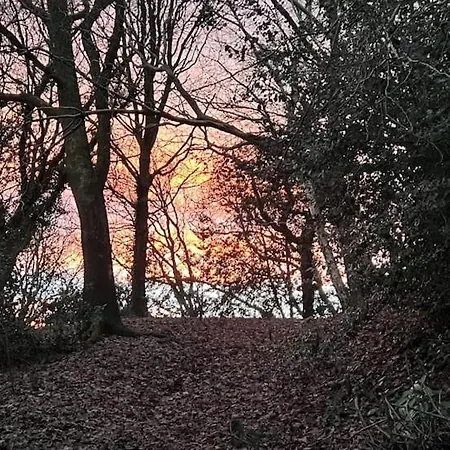 The 'shed' Log Cabin, *