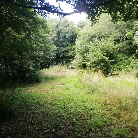 Appartement The 'shed' Log Cabin, Bishop Sutton