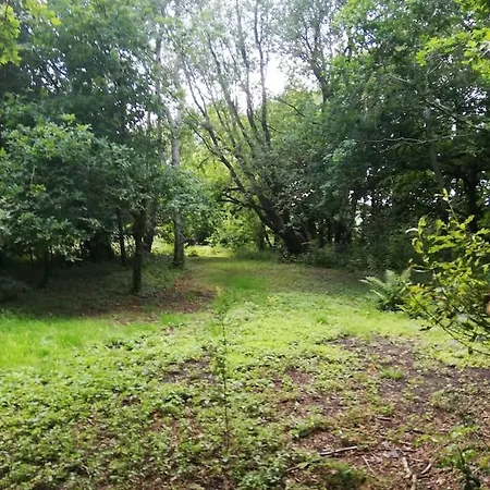 The 'shed' Log Cabin, Apartment