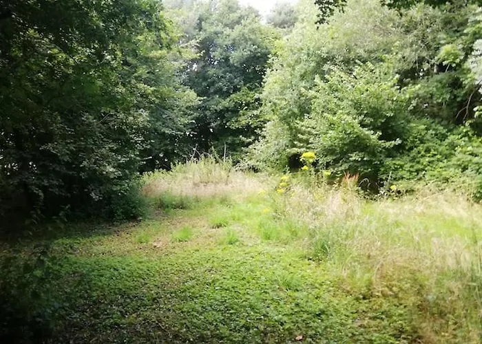 شقة The 'shed' Log Cabin, Bishop Sutton