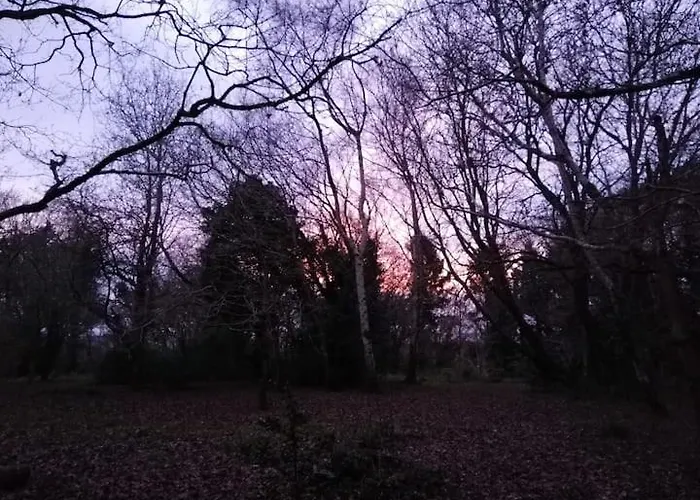 The 'shed' Log Cabin, *