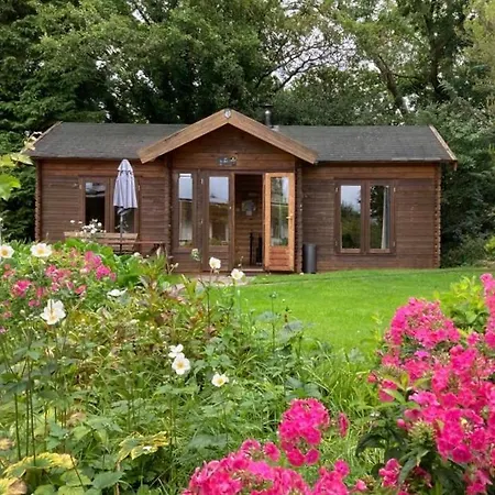 The 'shed' Log Cabin, Bishop Sutton Апартаменты *
