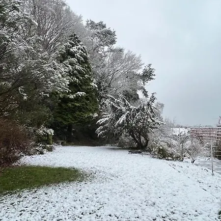 The 'shed' Log Cabin, Daire *