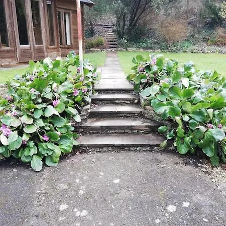 The 'shed' Log Cabin, 아파트 Bishop Sutton
