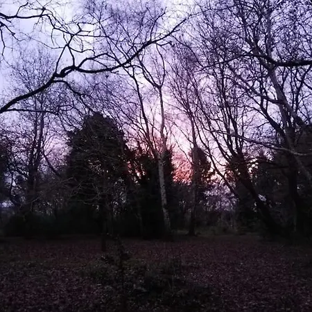 The 'shed' Log Cabin, *