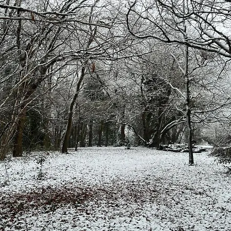 Lejlighed The 'shed' Log Cabin, *