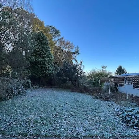 The 'shed' Log Cabin, Bishop Sutton