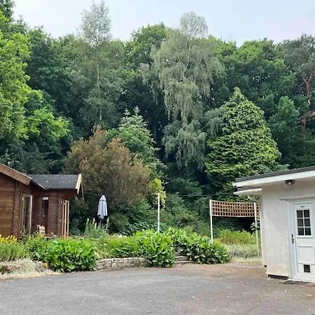 The 'shed' Log Cabin, Bishop Sutton *