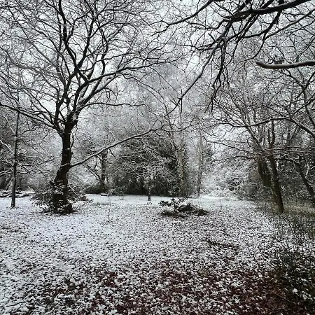 The 'shed' Log Cabin, Bishop Sutton