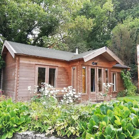 The 'shed' Log Cabin, Bishop Sutton