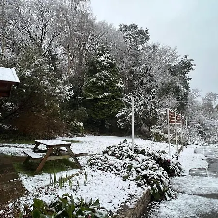 Апартаменты The 'shed' Log Cabin, Bishop Sutton *