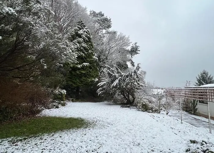 The 'shed' Log Cabin, 아파트 *