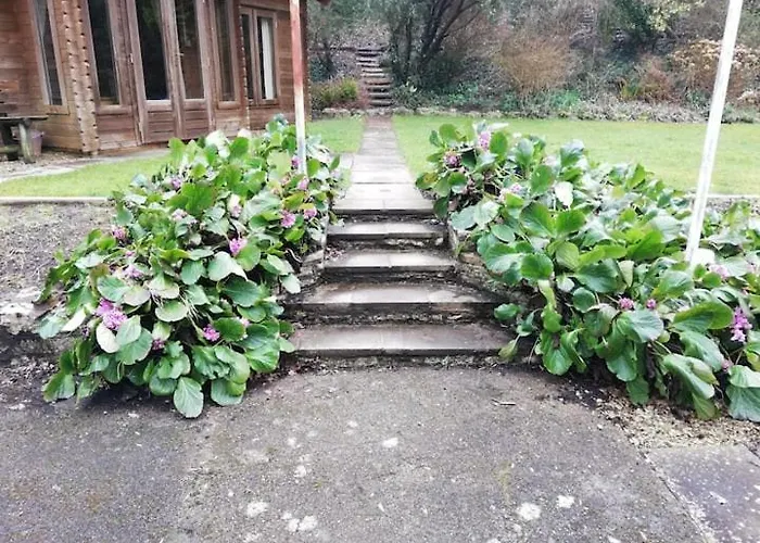 The 'shed' Log Cabin, Lejlighed Bishop Sutton