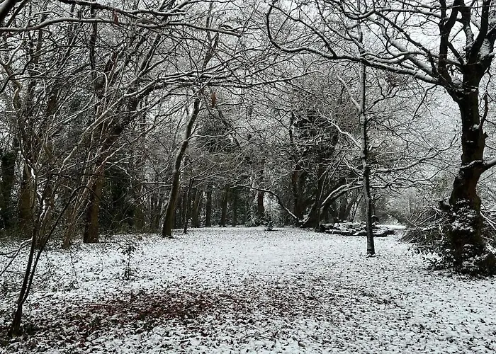 아파트 The 'shed' Log Cabin, *