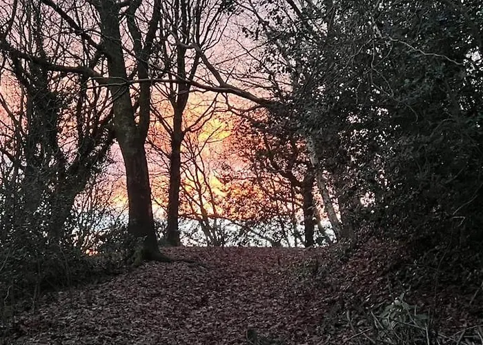 The 'shed' Log Cabin, *