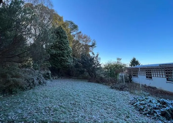 The 'shed' Log Cabin,