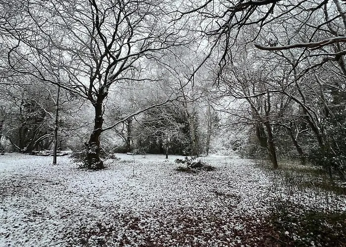 The 'shed' Log Cabin, Bishop Sutton