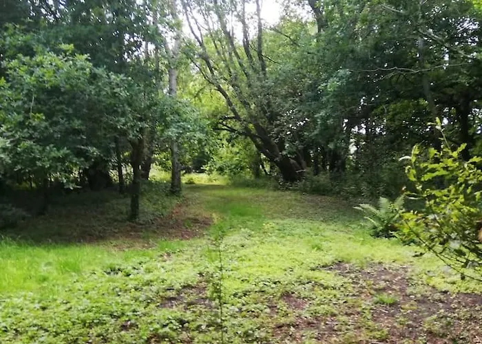 The 'shed' Log Cabin, Lejlighed